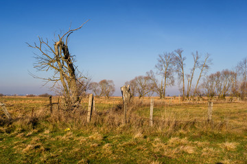 Rzeka Narew w okolicy Suraża, Narwiański Park Narodowy, Dolina Narwi, Suraż, Podlasie, Polska © podlaski49