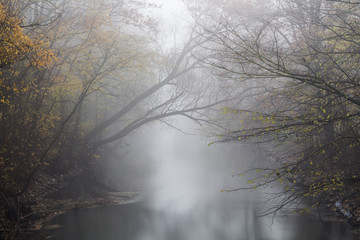 Fluss in den Nebel