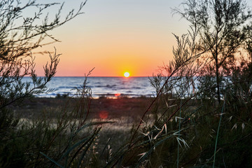 Naklejka premium Sunrise in the morning