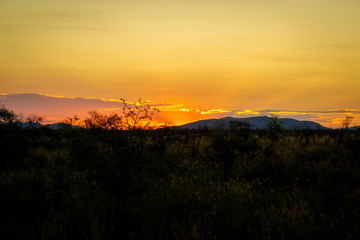 A spectacular sunset at Madikwe Game Reserve, South Africa.