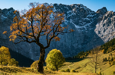 Beautiful alpine autumn or indian summer view at the famous Big Maple Ground, Tyrol, Austria