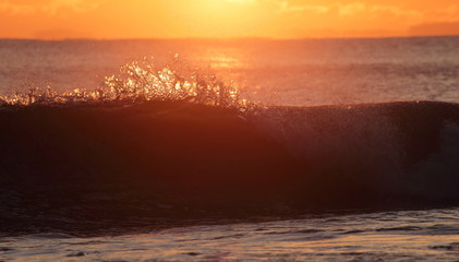Obraz premium Crest of breaking wave backlit by sunlight at sunset