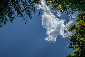 cloudy blue sky sun rays 