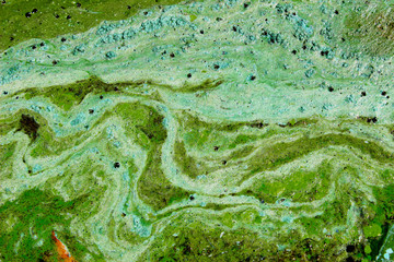 Cropped shot of dirty water, top view. Ecology, environmental pollution, nature concept. Abstract colorful background texture.