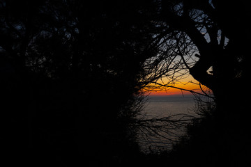 orange sunset overviewing the beach though trees