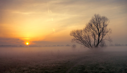 Fototapeta na wymiar wschód słońca nad zamgloną łąką