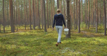 Woman going to pick blueberries, cowberries and mushrooms in forest on sunny day