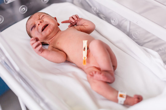 niño bebé recien nacido llorando en incubadora, con el cordón umbilicar recién cortado, en hospital clínica