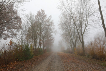 Obraz na płótnie Canvas Straße im Nebel