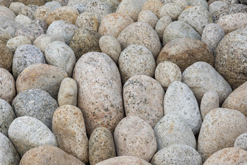 Fototapeta na wymiar 丸い庭石