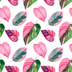 Pink and green tropical leaves, Caladium, ficus, Caladium. Seamless pattern, watercolor illustration