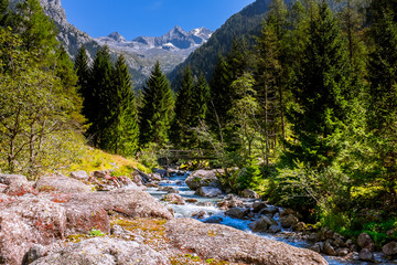 Fototapeta na wymiar Val di Mello Sondrio Italy is a Nature Reserve. Foamy streams, waterfalls and ponds, the green that contrasts with the rock: a bucolic fresco of rare beauty.