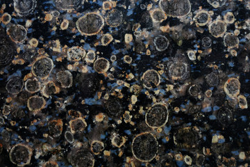stone texture. black polished stone with spotty pattern