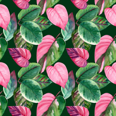 Pink and green tropical leaves, Caladium, ficus, Caladium. Seamless pattern, watercolor illustration