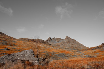 Autumn views from Ben Arthur - the Cobbler, Scotland