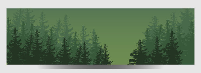 illustration of Coniferous Forest. Travel infographic.