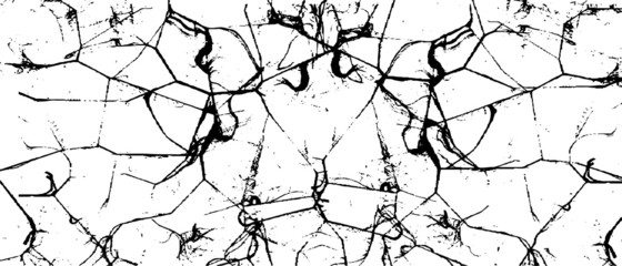 Rough black and white texture vector. Distressed overlay texture. Grunge background. Abstract textured effect. Vector Illustration. Black isolated on white background. EPS10.