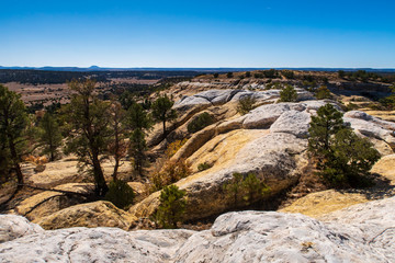 Fototapeta na wymiar Low angle landscape of trees and rock formations at El Morro National Monument in New Mexico