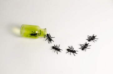Hormigas saliendo de botella
