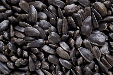 The surface of black sunflower seeds. Illustration or dark black backdrop or wallpaper. Winter food for wild birds. View from above