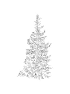 Abstract christmas tree with hand sketch line, illustration for xmas