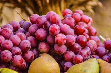 Ripe harvest, colorful harvested vegetables at the street market, organic vegan food for sale
