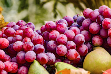 Ripe harvest, colorful harvested vegetables at the street market, organic vegan food for sale