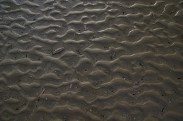 Obraz premium Rippel im Nordseewatt