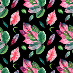 Pink and green tropical leaves, Caladium, ficus, Caladium. Seamless pattern, watercolor illustration