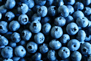 background of ripe blueberries. classic blue color 2020