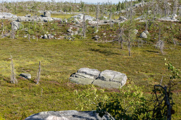 Mountain Vottovaara in Karelia, Russia