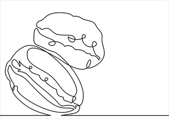 Coffee bean vector icon, caffeine symbol. line-continuous line drawing