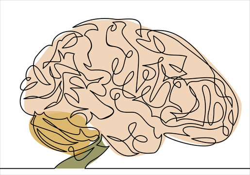 Vector line brain-continuous line drawing