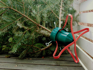 christmas tree with foot, sweden, stockholm europe, nacka