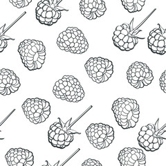 Raspberries repeat pattern, vector illustration isolated on white background