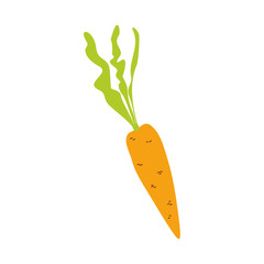 carrot with green leaves isolated on white background