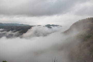 Foggy landscape in the morning