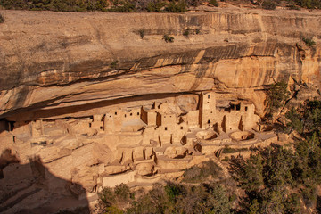 Overlooking  the Cliff Palace, Mesa Verde National Park, Colorado, USA.