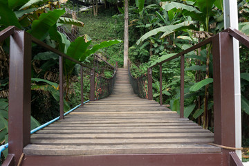 Beautiful pathway of a wooden bridge with steel structure.