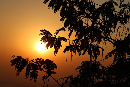 Beautiful sunset view, stock image