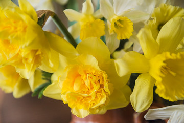 Bunch of yellow daffodils on sunlight close up