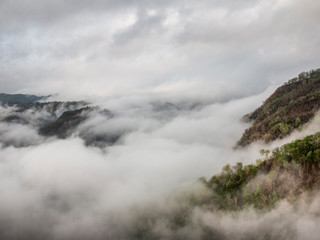 Obraz premium Nature landscape, a foggy forest in Bantul Yogyakarta Indonesia