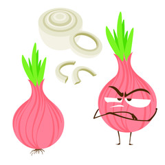 Vector flat set of onion, cartoon character, vector illustration of object isolated on white background