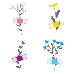 wild flowers glued, white background, vector illustration, flat style