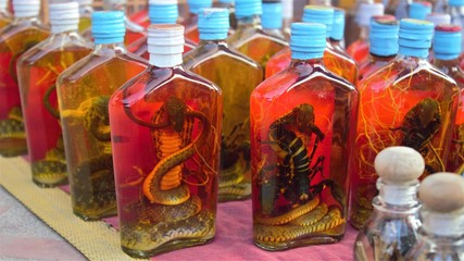 Snake and scorpion bottle