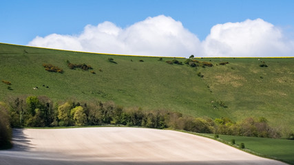 Naklejka premium Scenic View of the Rolling Sussex Countryside