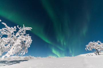 Aurora borealis over white winter landscape