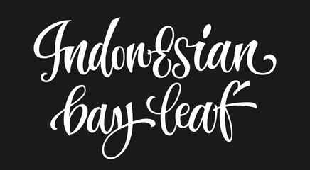 Indonesian bay leaf - white colored hand drawn spice label. Isolated calligraphy scrypt stile word. Vector lettering design element.