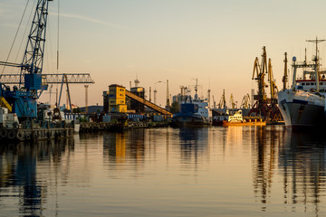 Fototapeta premium Russia, Kaliningrad, hoisting cranes in the commercial port at sunset