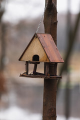 The bird and animal feeder is suspended from a tree